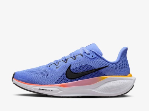 Zapatillas Nike Pegasus 41